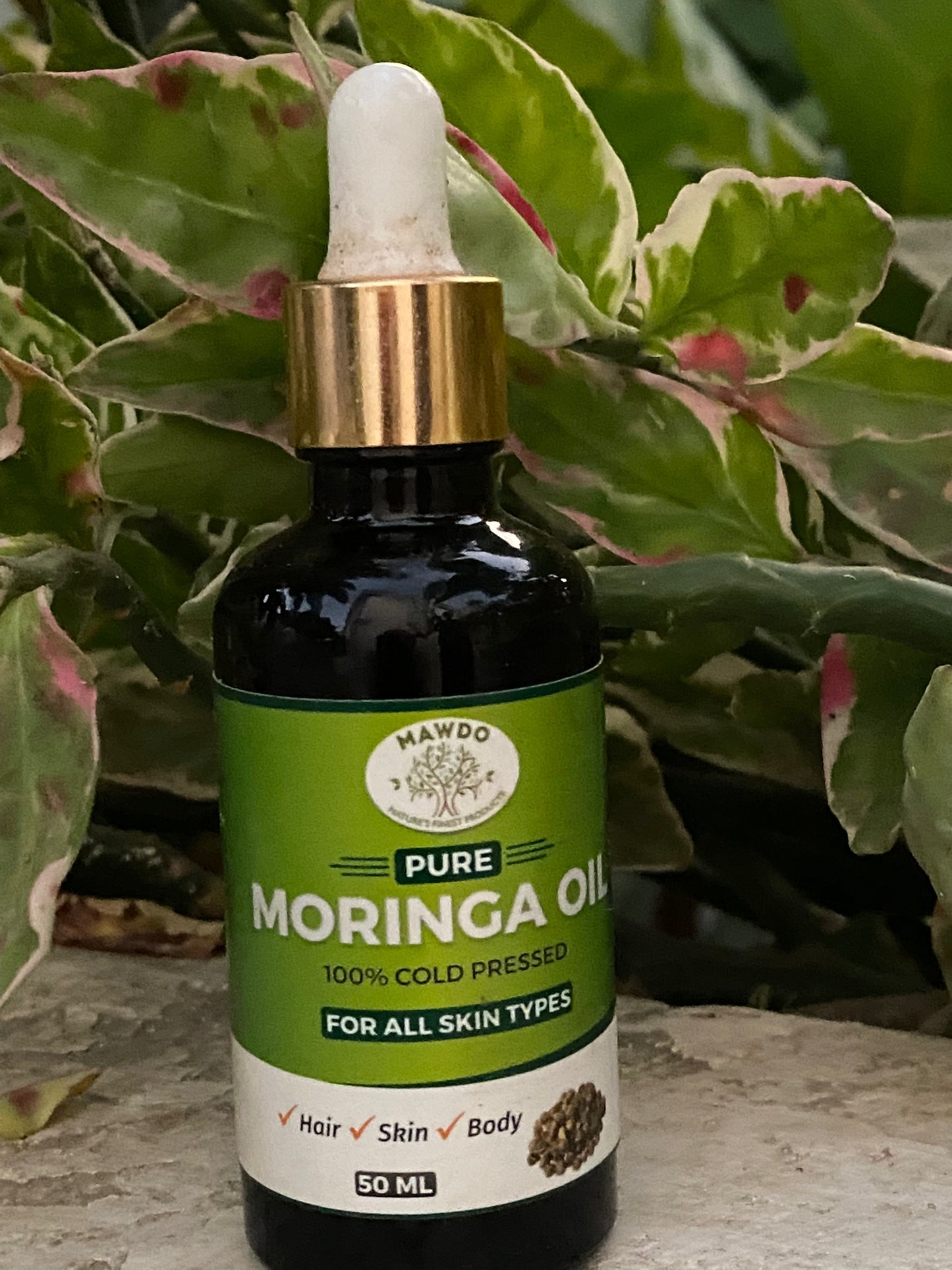 Moringa Oil